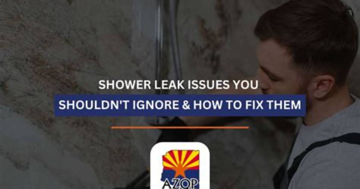 Complete Shower Leak Guide: Lessons from the Viral Mold and Bracing Fix