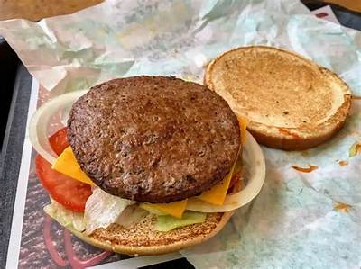 Does Burger King Use the Same Meat Cut for Both Chicken Sandwiches? the Truth Behind the Menu