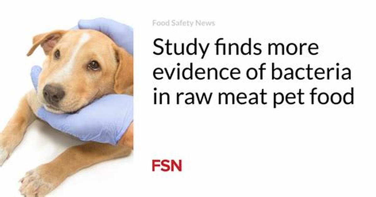 Examining the Viral Evidence: Was Dog Meat Ever Featured on a Hong Kong Fast Food Menu?