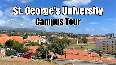 Fact-Checking St. George's Vet School: Avma Accreditation, Stigma, and Graduate Licensing
