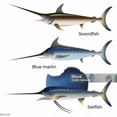 Frozen Vs. Thawed Swordfish Test: Visual Side-by-Side Texture and Moisture Results