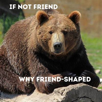 'If Not Friend, Why Friend Shaped?' the Science Behind Cute Meme Formats