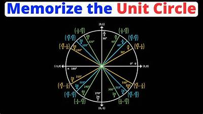 Is Memorizing the Unit Circle Necessary? Math Experts Weigh In