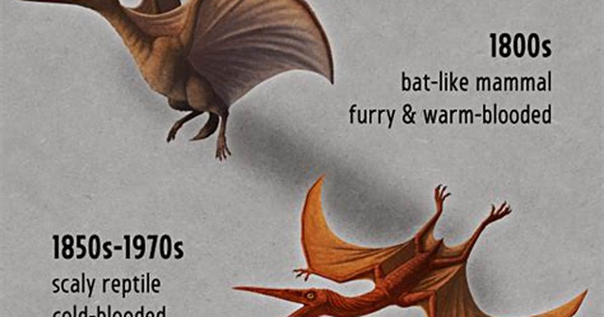 Pteranodon vs Pterodactyl: the Definitive Guide to Flying Prehistoric Reptiles
