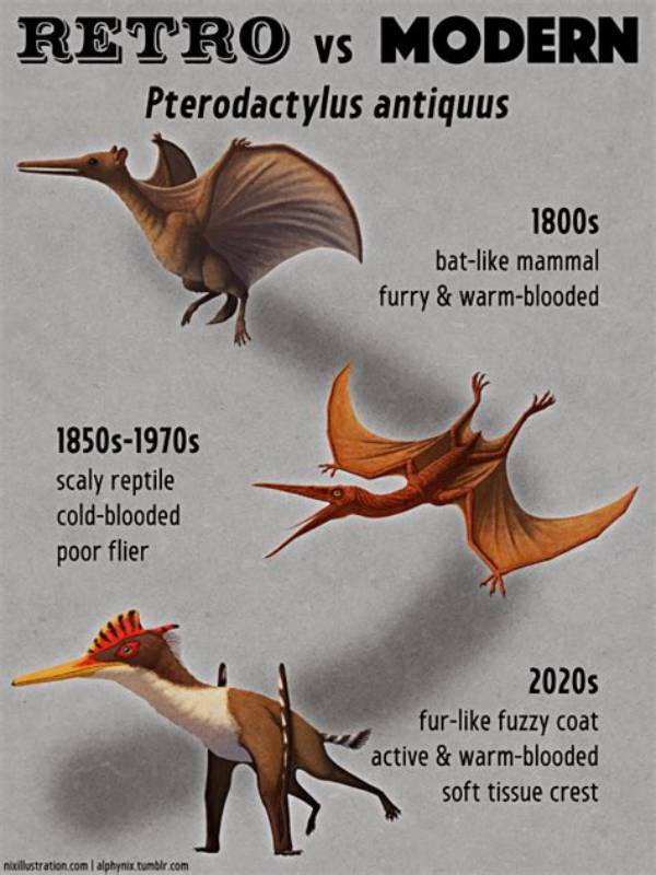 Pteranodon vs Pterodactyl: the Definitive Guide to Flying Prehistoric Reptiles