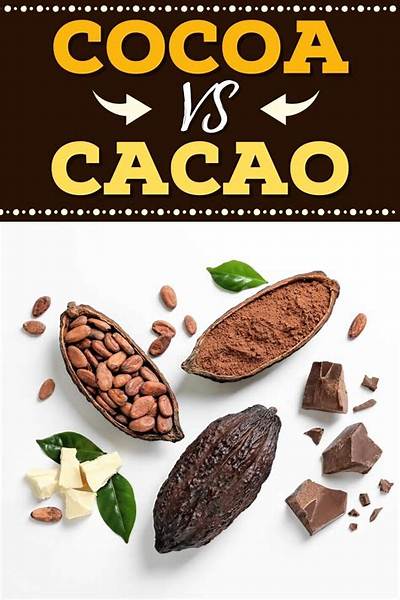 Table Chocolate Vs. Raw Cacao: What Really Belongs in Mexican Hot Chocolate?