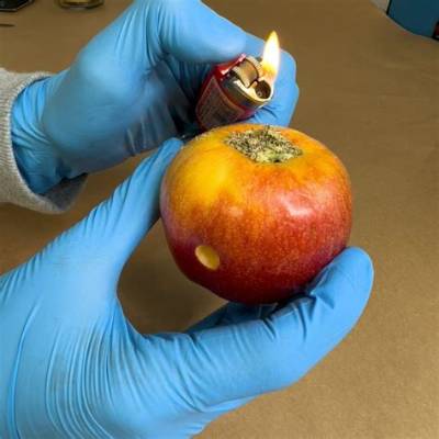 The 2-Minute Apple Pipe Hack: Why Millions Are Ditching Glassware for Fruit