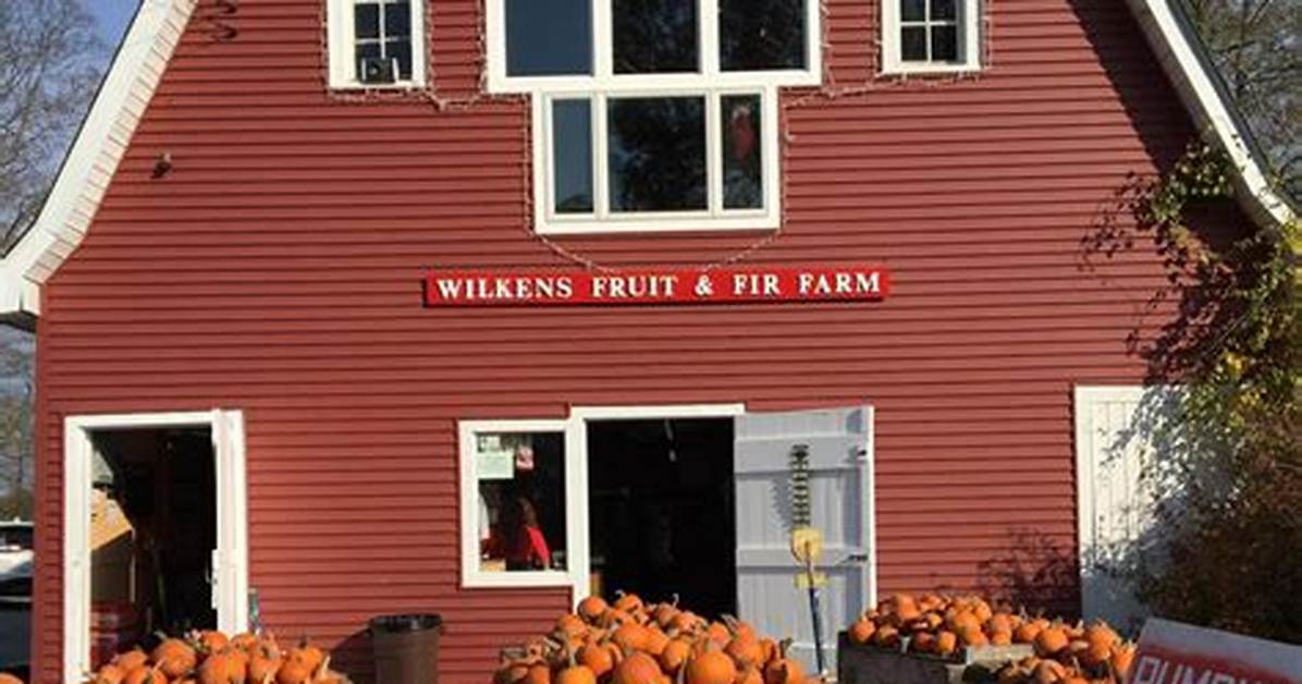 The Complete Visitor Guide to Wilkens Fruit and Fir Farm: Apples, Wine, and Mazes