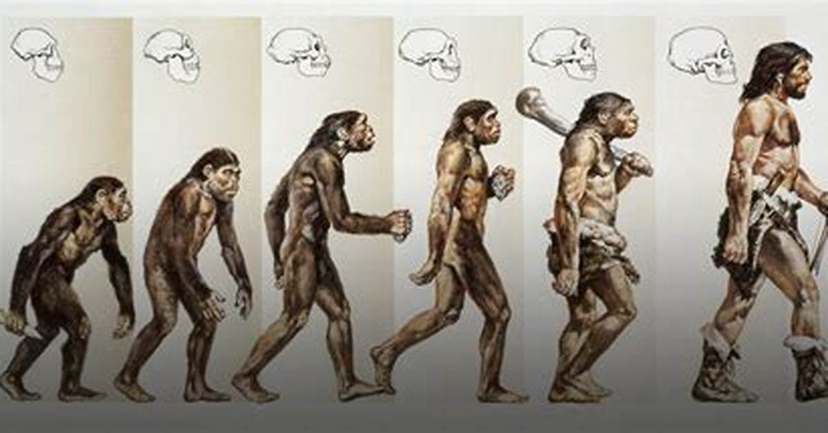 The Evolution of Body Image in China: a Decade of Transformation from 2015 to Today