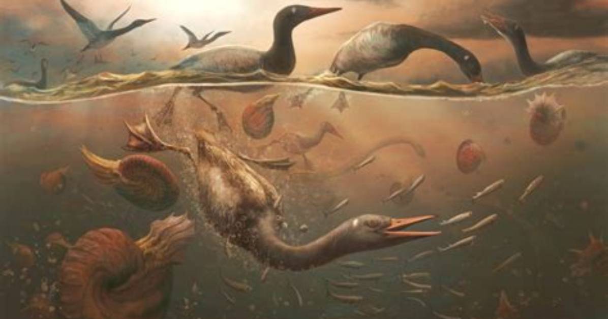 The Evolutionary Mystery Deepens: Scientists Split on the Origin of Laughter