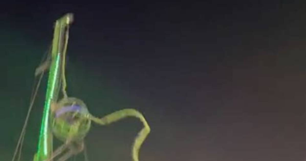 Viral Slingshot Ride Slip: What Really Happened in the Trending Video?